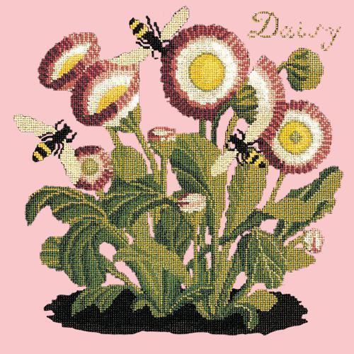 Daisy Needlepoint Kit Elizabeth Bradley Design Pale Rose 