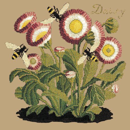 Daisy Needlepoint Kit Elizabeth Bradley Design Sand 