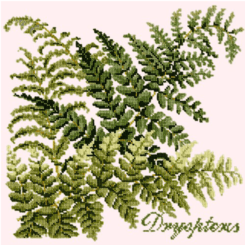 Dryopteris Needlepoint Kit Elizabeth Bradley Design 