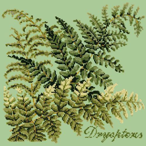 Dryopteris Needlepoint Kit Elizabeth Bradley Design Pale Green 