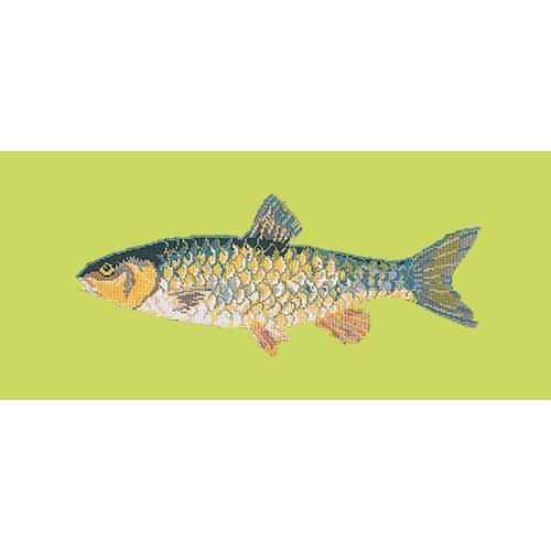 Freshwater Chub Needlepoint Kit Elizabeth Bradley Design Pale Lime 