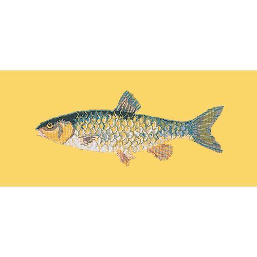 Freshwater Chub Needlepoint Kit Elizabeth Bradley Design Sunflower Yellow 