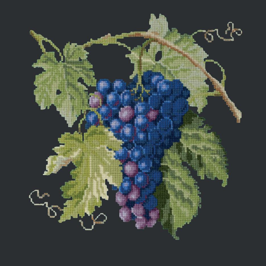 Grapes Needlepoint Kit Elizabeth Bradley Design Black 