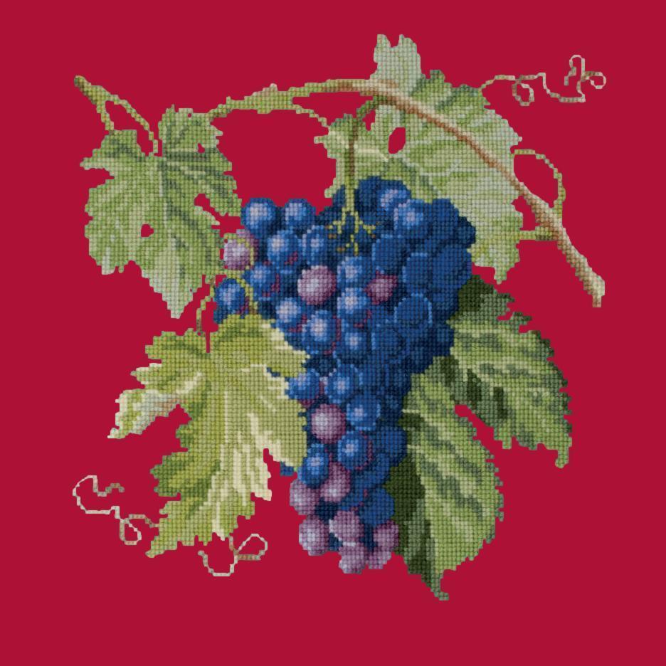 Grapes Needlepoint Kit Elizabeth Bradley Design Bright Red 