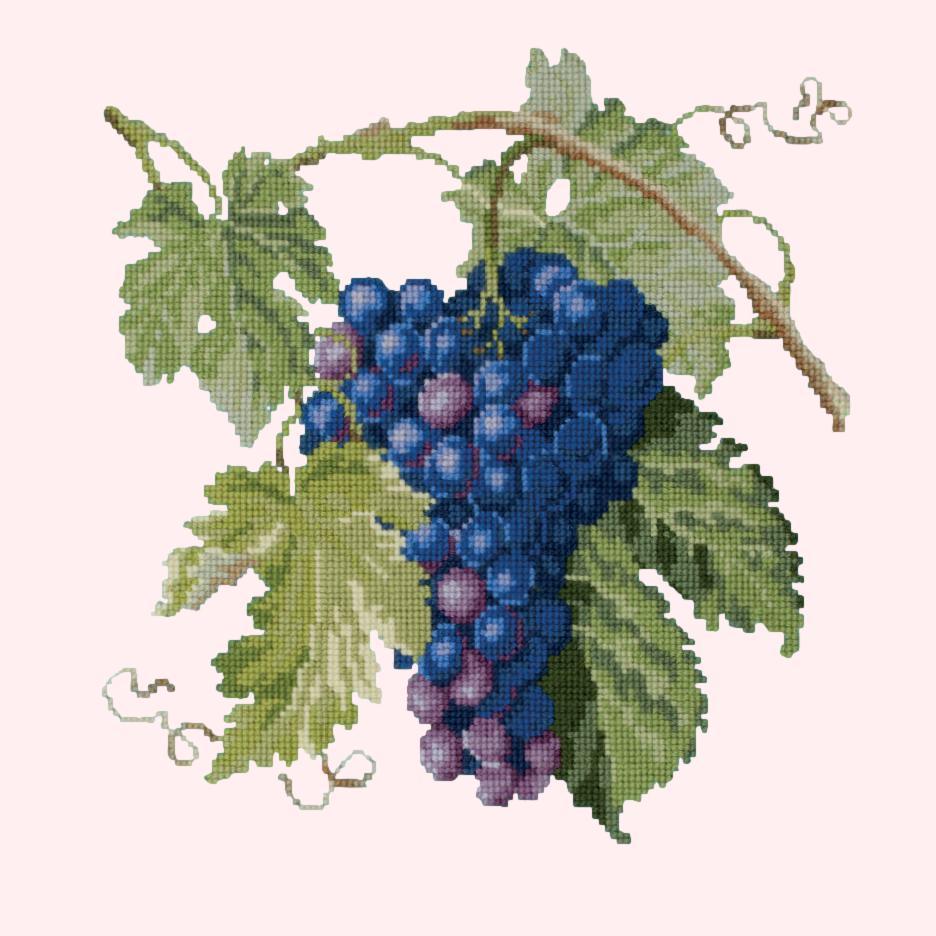 Grapes Needlepoint Kit Elizabeth Bradley Design Cream 