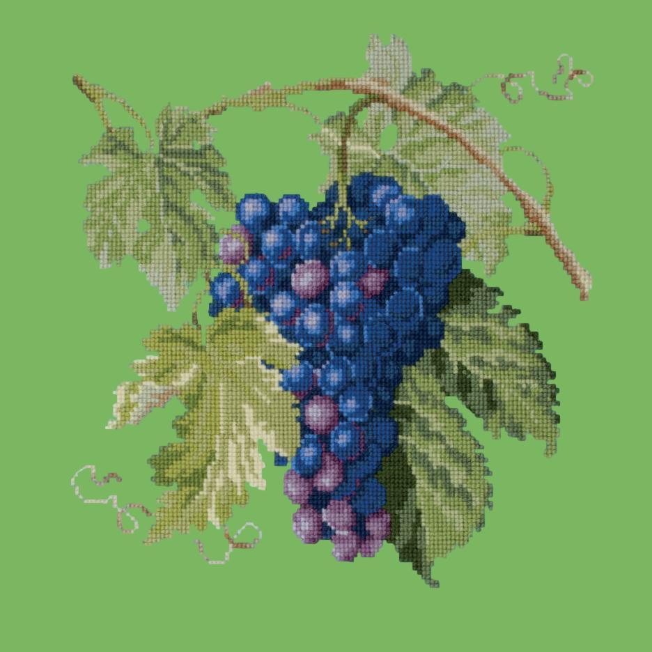 Grapes Needlepoint Kit Elizabeth Bradley Design Grass Green 