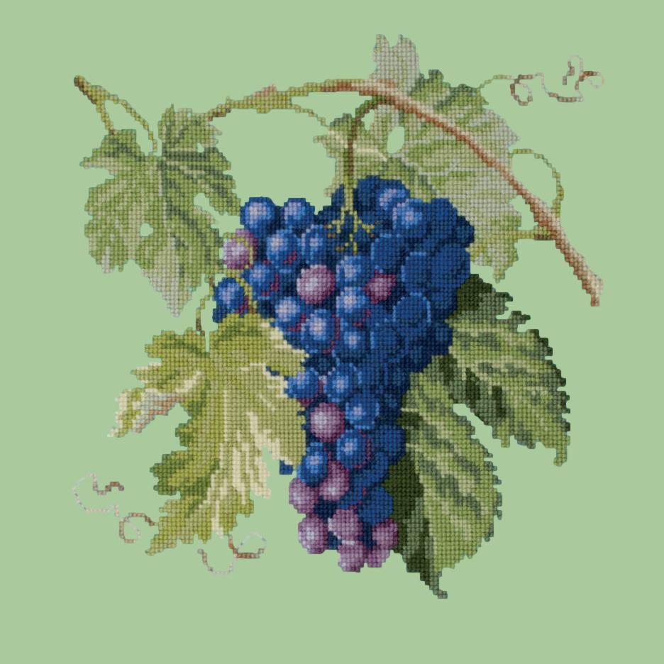 Grapes Needlepoint Kit Elizabeth Bradley Design Pale Green 