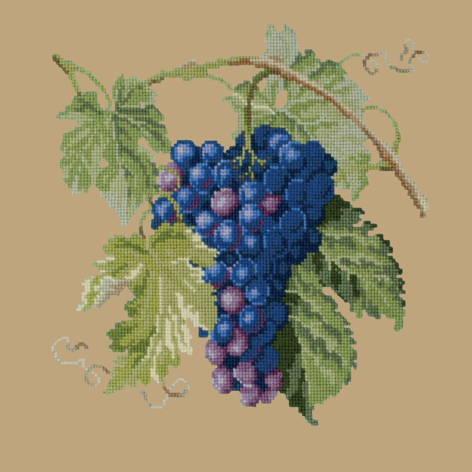 Grapes Needlepoint Kit Elizabeth Bradley Design Sand 