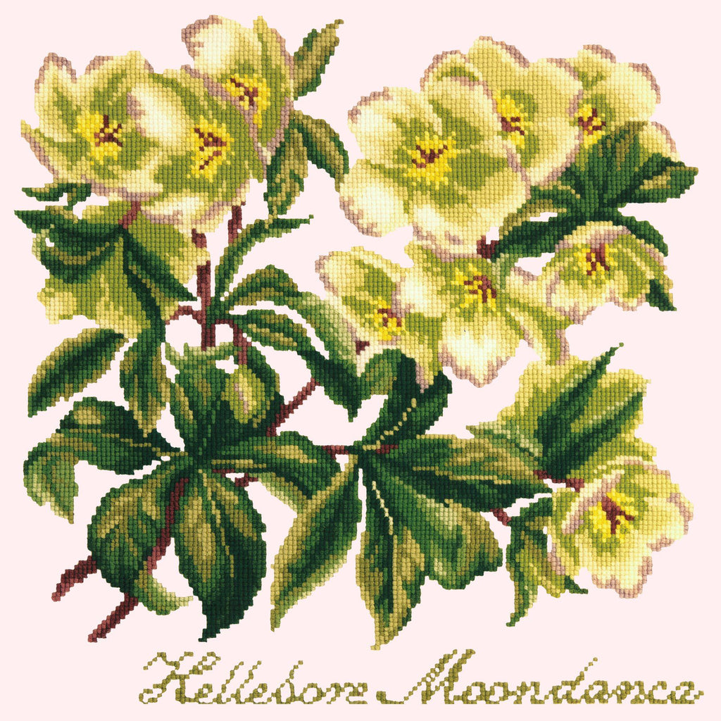 Hellebore Moondance Needlepoint Kit Elizabeth Bradley Design 