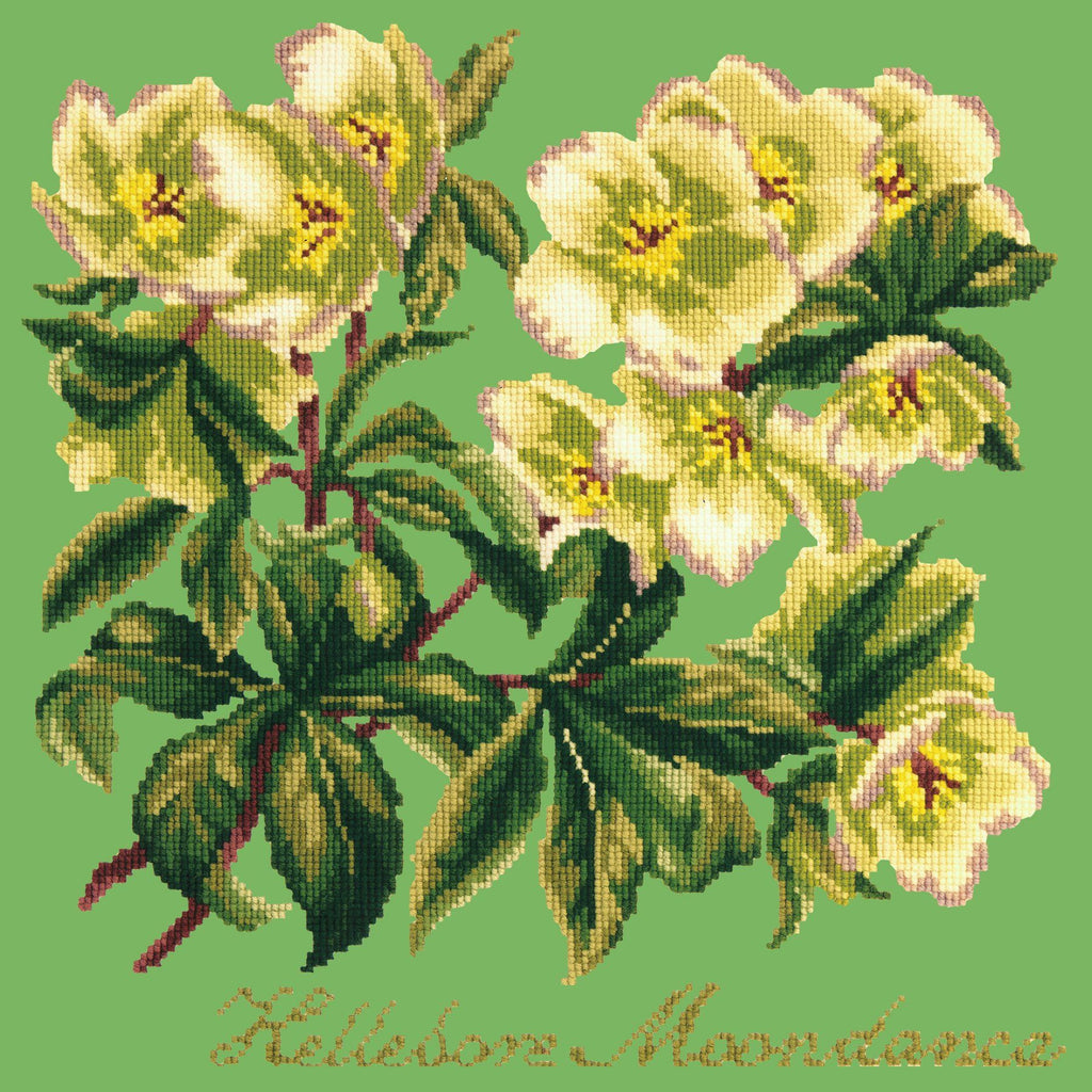 Hellebore Moondance Needlepoint Kit Elizabeth Bradley Design Grass Green 