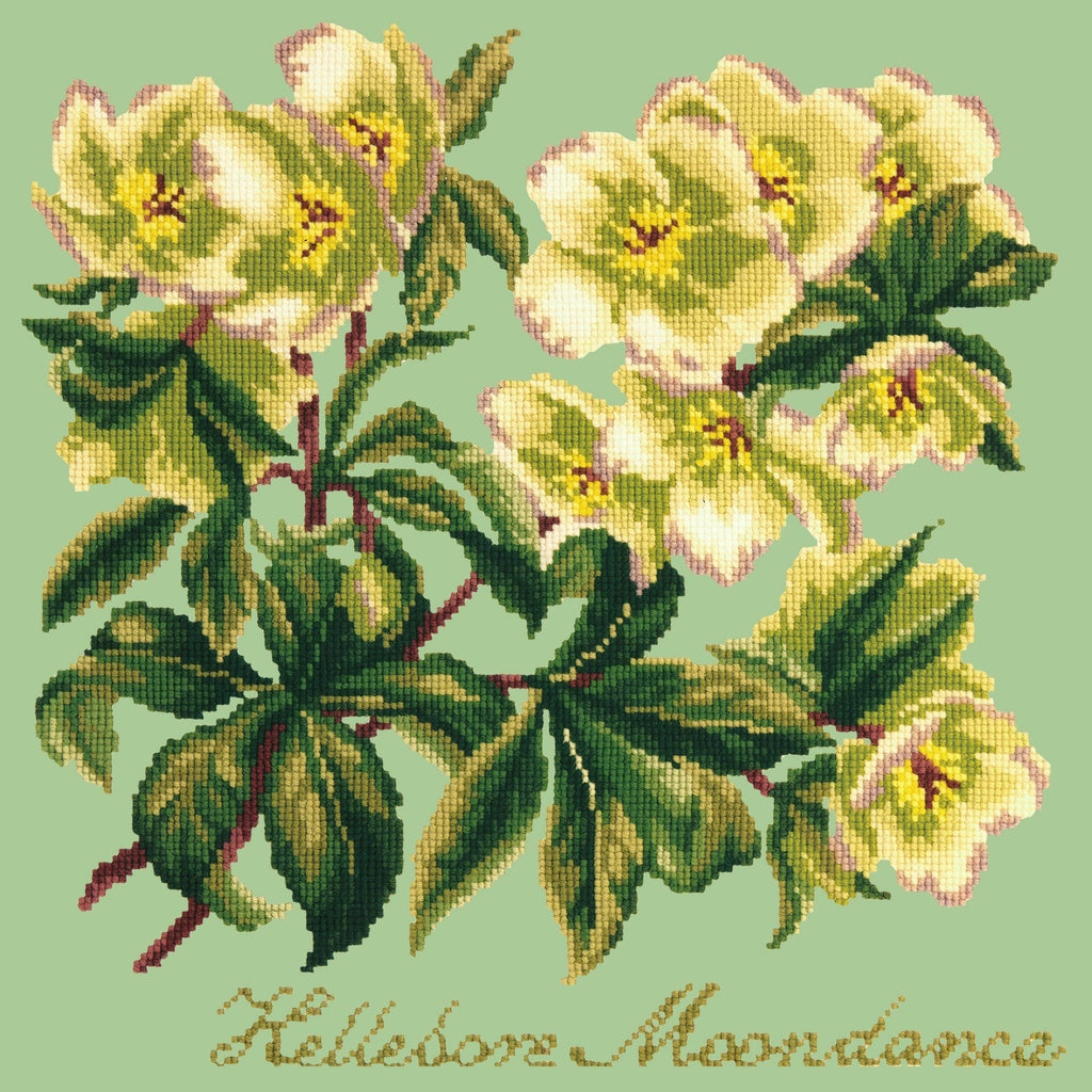 Hellebore Moondance Needlepoint Kit Elizabeth Bradley Design Pale Green 