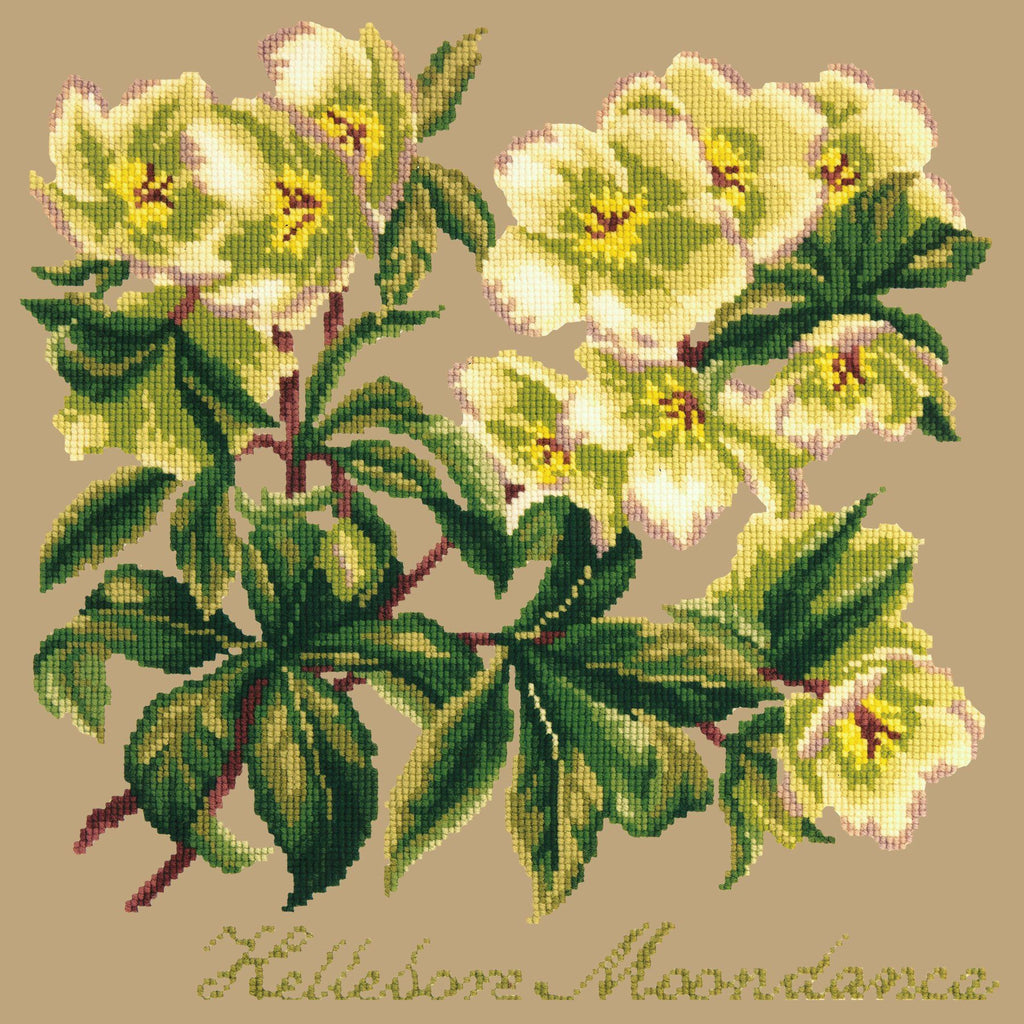 Hellebore Moondance Needlepoint Kit Elizabeth Bradley Design Sand 