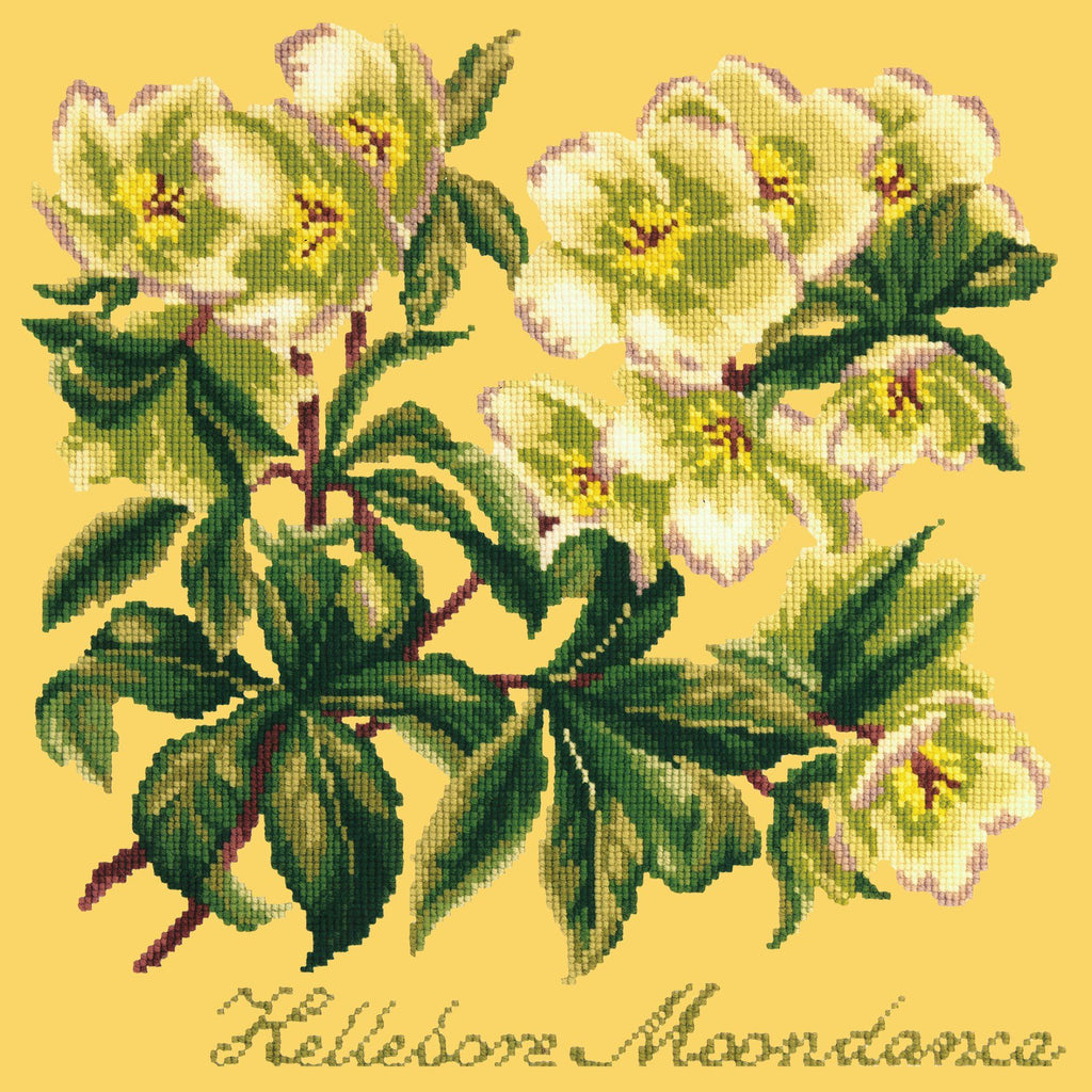 Hellebore Moondance Needlepoint Kit Elizabeth Bradley Design Sunflower Yellow 