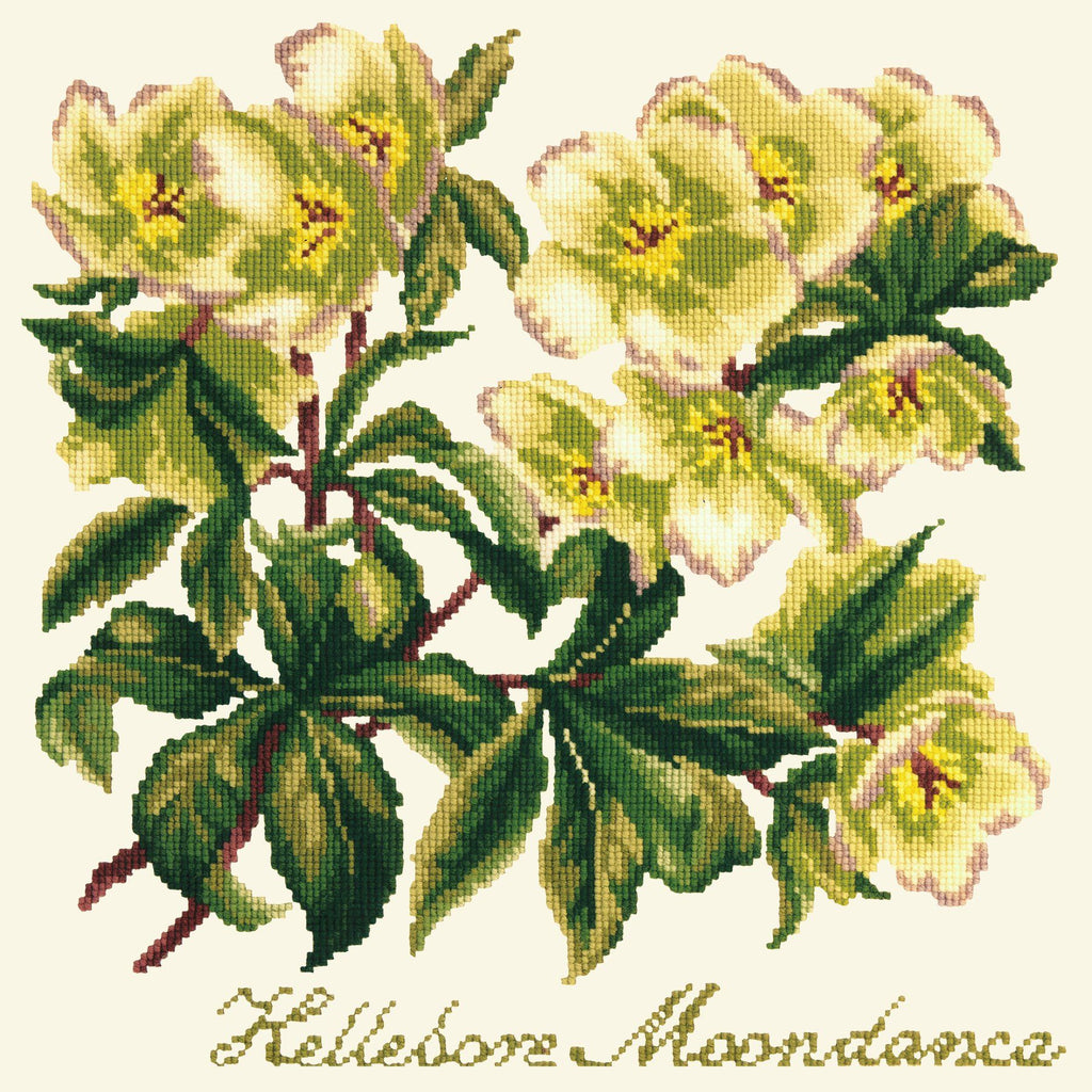 Hellebore Moondance Needlepoint Kit Elizabeth Bradley Design Winter White 