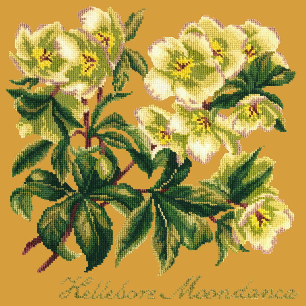 Hellebore Moondance Needlepoint Kit Elizabeth Bradley Design Yellow 