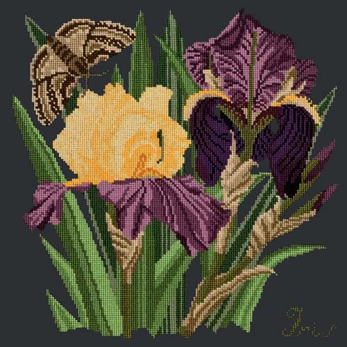 Iris Needlepoint Kit Elizabeth Bradley Design 