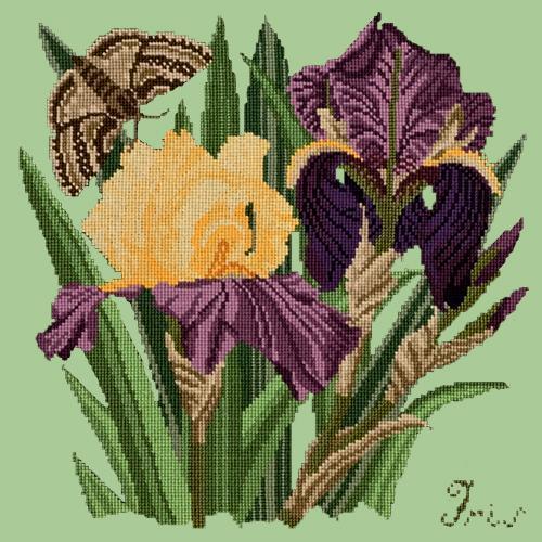 Iris Needlepoint Kit Elizabeth Bradley Design Pale Green 