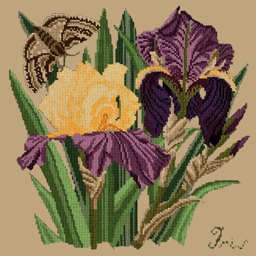 Iris Needlepoint Kit Elizabeth Bradley Design Sand 