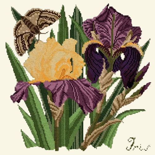 Iris Needlepoint Kit Elizabeth Bradley Design Winter White 