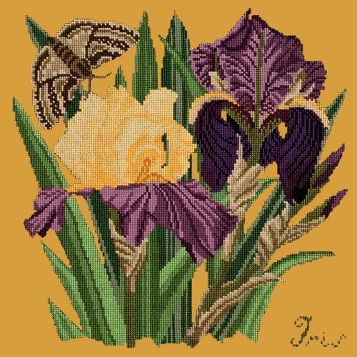 Iris Needlepoint Kit Elizabeth Bradley Design Yellow 