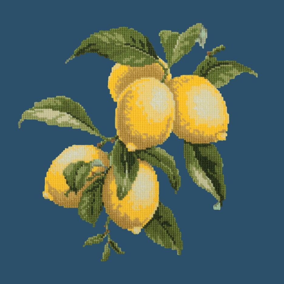 Lemons Needlepoint Kit Elizabeth Bradley Design Dark Blue 