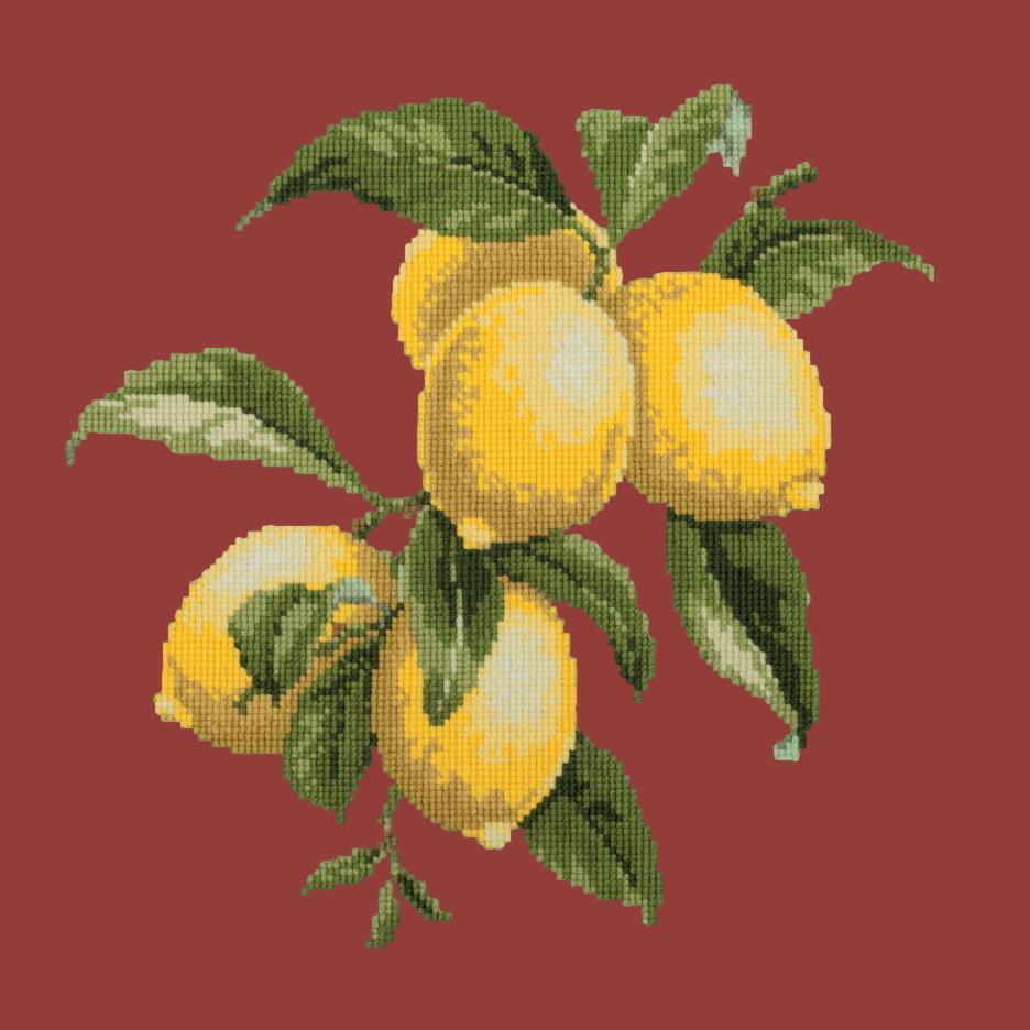 Lemons Needlepoint Kit Elizabeth Bradley Design Dark Red 