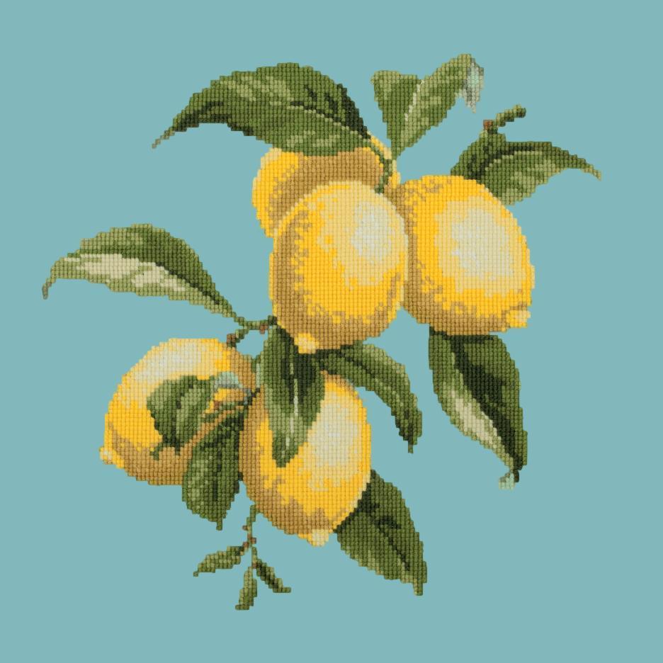 Lemons Needlepoint Kit Elizabeth Bradley Design Duck Egg Blue 