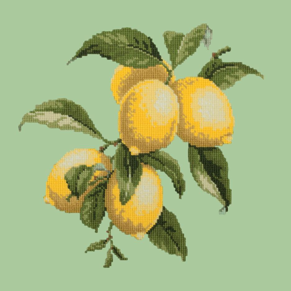 Lemons Needlepoint Kit Elizabeth Bradley Design 