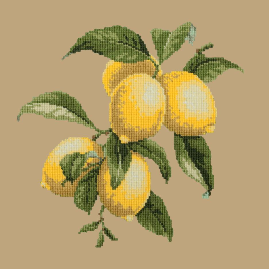 Lemons Needlepoint Kit Elizabeth Bradley Design Sand 