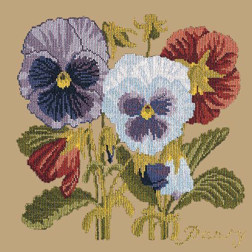 Pansy Needlepoint Kit Elizabeth Bradley Design Sand 