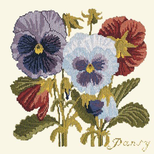 Pansy Needlepoint Kit Elizabeth Bradley Design Winter White 