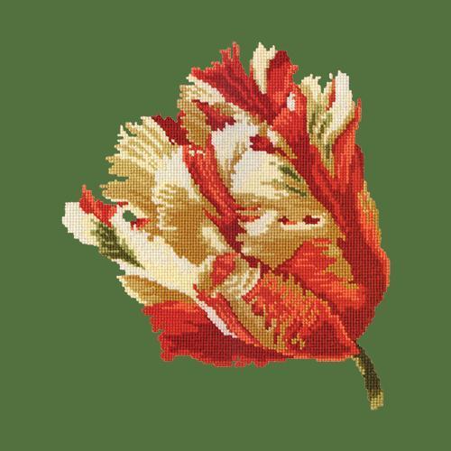 Parrot Tulip Needlepoint Kit Elizabeth Bradley Design Dark Green 