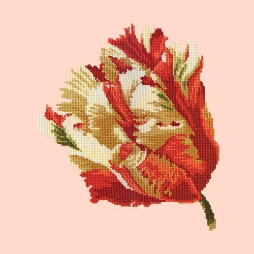 Parrot Tulip Needlepoint Kit Elizabeth Bradley Design Salmon Pink 