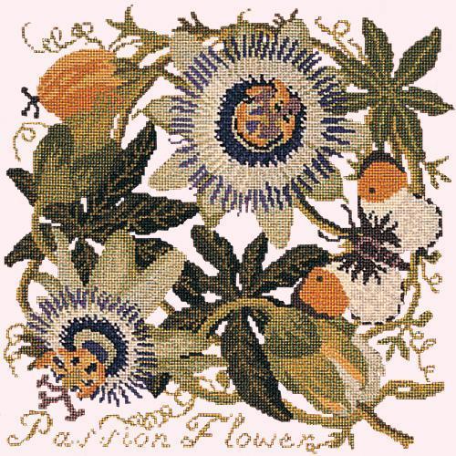 Passion Flower Needlepoint Kit Elizabeth Bradley Design 