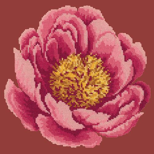 Peony Needlepoint Kit Elizabeth Bradley Design Dark Red 