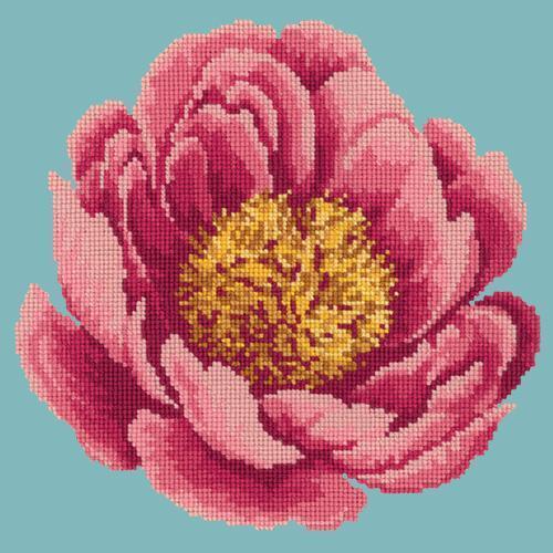 Peony Needlepoint Kit Elizabeth Bradley Design Duck Egg Blue 