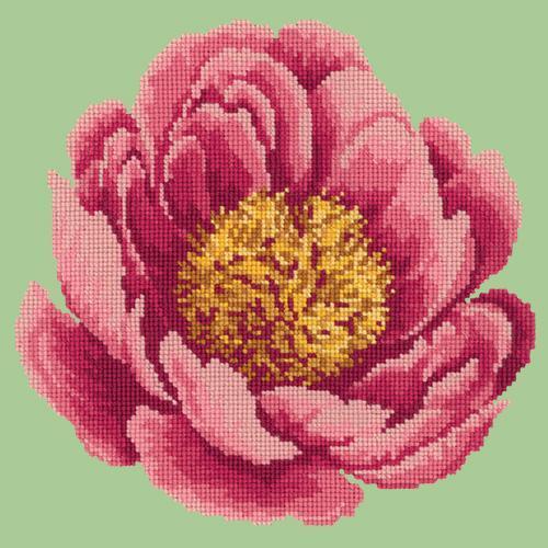 Peony Needlepoint Kit Elizabeth Bradley Design Pale Green 