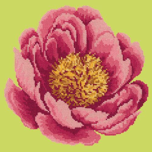 Peony Needlepoint Kit Elizabeth Bradley Design Pale Lime 