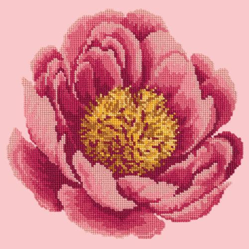 Peony Needlepoint Kit Elizabeth Bradley Design Pale Rose 