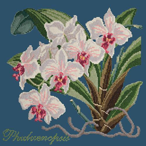 Phalaenopsis (Moth Orchid) Needlepoint Kit Elizabeth Bradley Design Dark Blue 