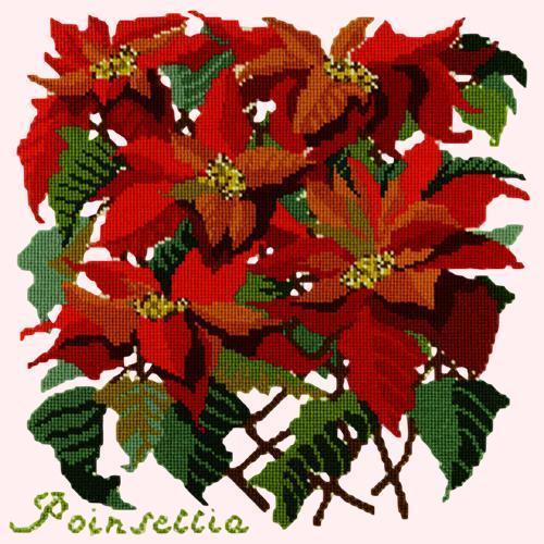 Poinsettia Needlepoint Kit Elizabeth Bradley Design Cream 