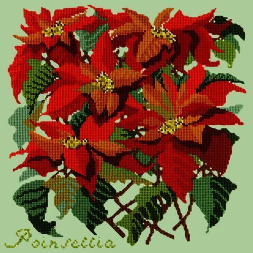 Poinsettia Needlepoint Kit Elizabeth Bradley Design Pale Green 