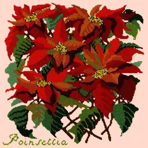 Poinsettia Needlepoint Kit Elizabeth Bradley Design Salmon Pink 