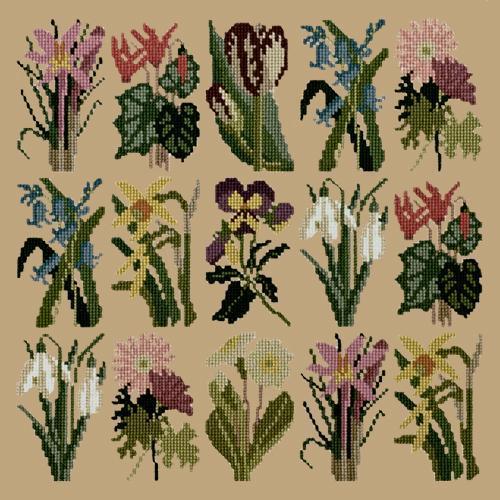 Primavera Needlepoint Kit Elizabeth Bradley Design Sand 