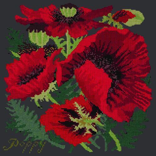 Red Poppy Needlepoint Kit Elizabeth Bradley Design Black 