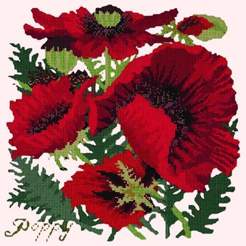 Red Poppy Needlepoint Kit Elizabeth Bradley Design 