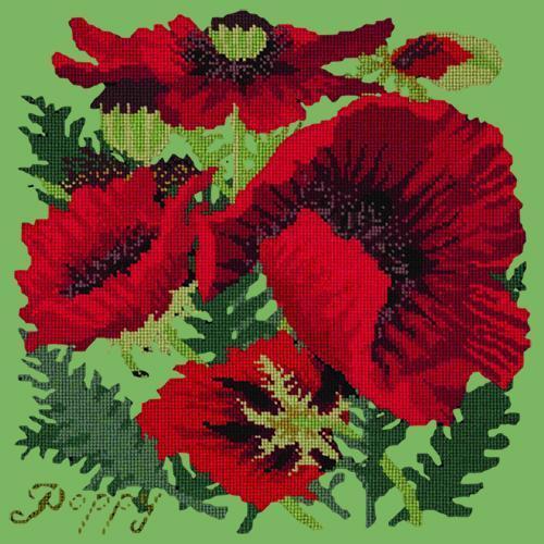 Red Poppy Needlepoint Kit Elizabeth Bradley Design Grass Green 