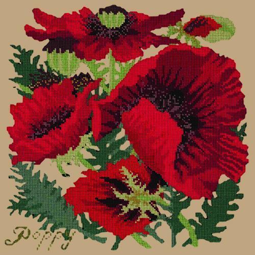 Red Poppy Needlepoint Kit Elizabeth Bradley Design Sand 