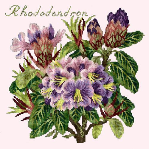 Rhododendron Needlepoint Kit Elizabeth Bradley Design 