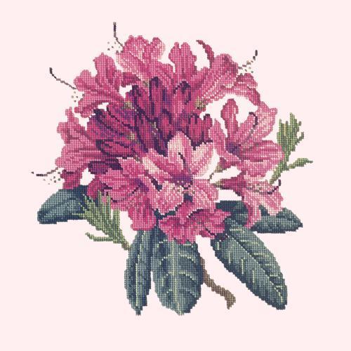 Rhododendron Needlepoint Kit Elizabeth Bradley Design 